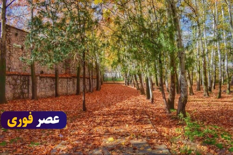 خبر فوری/ عصر فوری: شروع پاییز با گرما🔹بر اساس پیشبینی سازمان هواشناسی بارشها تا نیمه بهمن ماه در کشور در شرایط نرمال و فراتر از آن قرار د