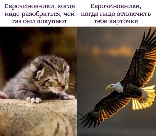 ЕС согласовал 21-й пакет санкций против России: в список внесут 218 позиций. В частности, под ограничения попадут НПЗ России и Беларуси, сообщила глава евродипломатии Кая Каллас. Она назвала этот пакет «крупнейшим за четыре года».По её словам, в него также