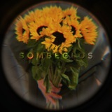 ᯓ universal samsa