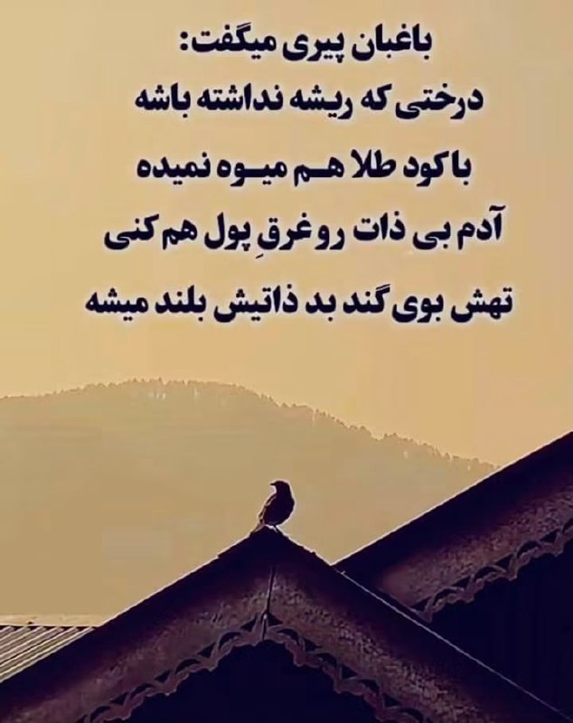 ایران زیبای من♥️🌹My Beautiful Iran: رسانه پست