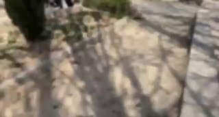 U_FaCEFs5zGM0sxt8I98-JfNnKm98_DEzzbLhNUUJDbiMknhw0eM5FDNjtvl30szvz2dN4a1v6t4nFK2nv5lycr9hPYBts3hSeN_YAn5OJnHWRGqW2Xk-sGlbS_F2MiuLDHiWHKiqgE2ijfjcoey4UajW21_DYT1oHFmIbCqJW1h0mgESApdok8dpp_fp90oCljYXuLu1eUL3mh07FhXh8ObGrRJ9gbhLG-dIkexxSgo6eJSafmzZsTgCGntNkLBI-deNhsIImpSwEAPEkbQHl3Khiz5F-eUeokxHF2uovsvyJ3wgQFTQbCjbv6hoQNTYaZA8BslLr8YAI5m3-ATFA