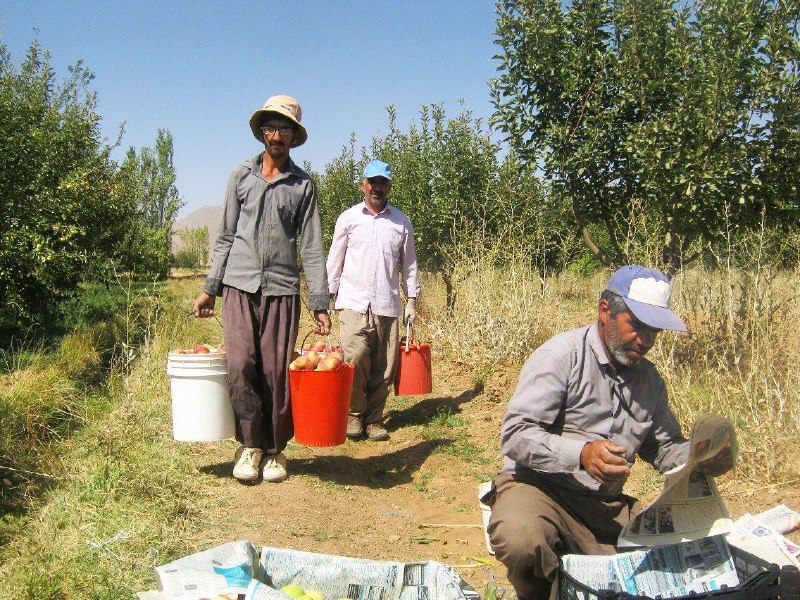 کانال جامع روستای خان آباد: #خان_آبادی_ها #یادآوری_خاطرات#روستای_خان_آباد @khan_abad#خان_آبادی_ها #یادآوری_خاطرات#روستای_خان_آباد @khan_abad