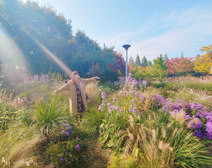首爾※聖水洞※賞楓聖地~서울숲首爾林公園~感受都市裡的春夏秋冬!
