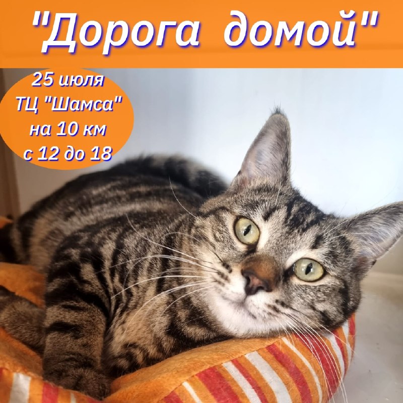 Завтра в ТЦ "Шамса" на 10 км пройдет...