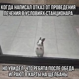 архив
