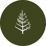 Консьерж говорит