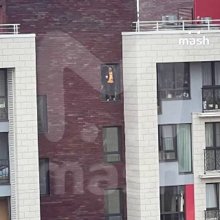 Мужчина ворвался в ПВЗ одного из маркетплейсов в Коммунарке, устроил там пожар, а потом покончил с собой.Всё произошло около получаса назад на бульваре Веласкиса в Москве. Сначала неадекват забежал в подвальное помещение и поджёг вещи с посылками. Затем уб