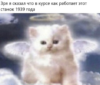 Пришлите аморальные мемы, с которых вас разносит 👇