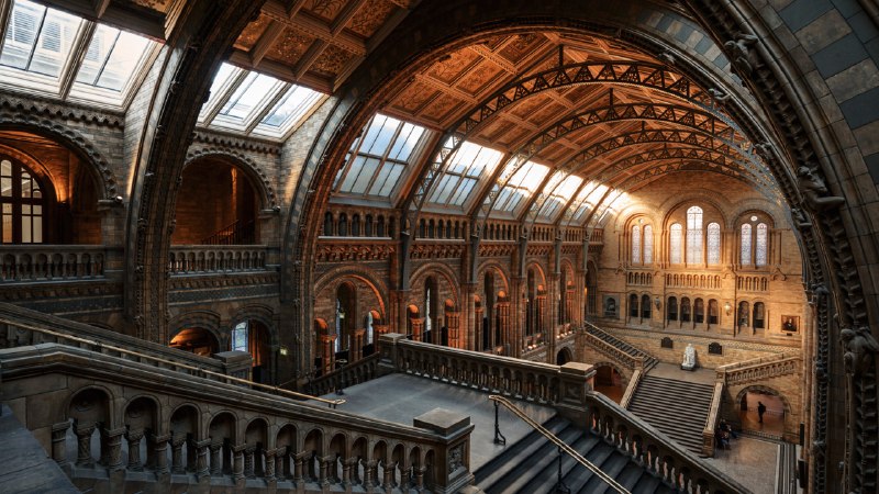 Hope in the hallNatural History Museum, London, England (© Colm Keating/Tandem Stills + Motion)
