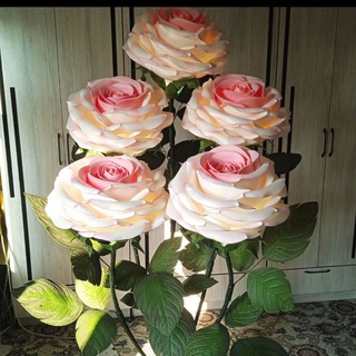 MAHALLA_GULLARI🌹🌹