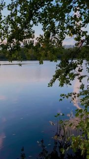 Гуляем по Тимирязевскому району. Кажется, я потихоньку становлюсь гидом по местам, которые хорошо знаю и могу
