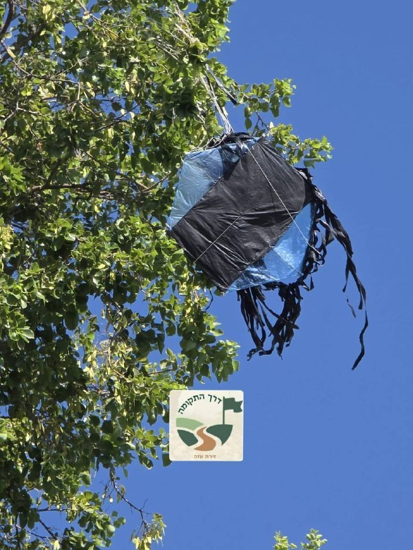 איתי גל-און