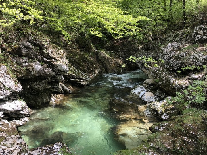 【斯洛維尼亞】波茵湖Lake Bohinj｜莫斯特尼卡峽谷健行Mostnica gorge Hiking