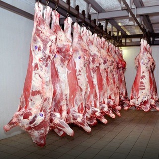 Guvalak gusht maxsulotlari🥩