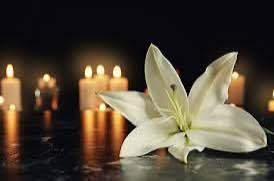 صبح‌ما🕊: ⭐️إِنّا لِلّهِ وَإِنّا إِلَیْهِ راجِعُونَجناب آقای دکتر بادامیمسئول محترم شعبه حزب مجمع ایثارگران استان خراسان شمالی🪽درگ