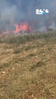 🇮🇱 שרפה מתפתחת סמוך למושב ארגמן שבבקעה - 4 מטוסי כיבוי הוזנקו. לוחמי האש פועלים לכבות את האש שמתפשטת לכיו…
