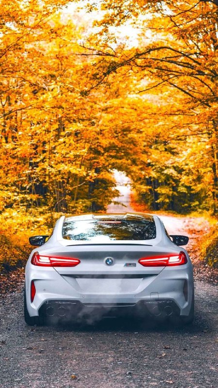 https://t.me/bmw_mpower_club
