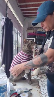 видео