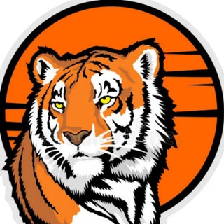 Telegram profile photo for 🐯 Владивосток 🌇 Новости Сейчас | Приморский край 💎 VDK_Tiger Приморье Ливень Дождь Потоп Погода Сейчас Авария ЧП ДТП DPS VL