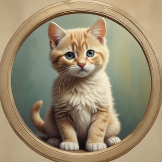 Dd Telegram Group Link