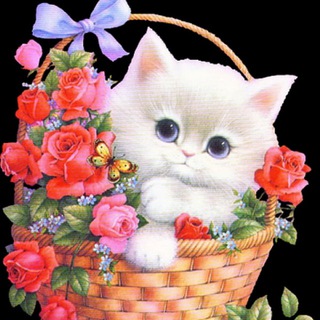 Telegram profile photo for ОТКРЫТКИ И ПОЖЕЛАНИЯ💖