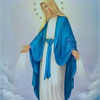 Qabsuura Qulqullootaa Telegram Group Link