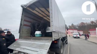 תראו כמה בזהירות עובדי משרד מצבי החירום שלנו מסיעים חיות מחמד שפונו מאליושקי יחד עם בעליהם חדשות. עד מקסימום.