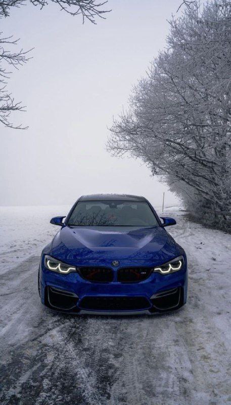 https://t.me/bmw_mpower_club