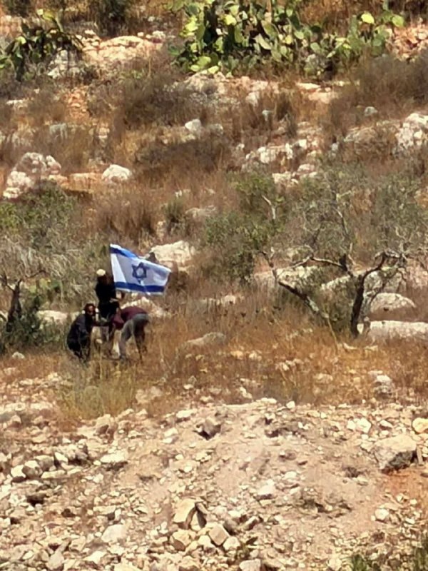 مستوطنون يقتحمون منطقة النبع بزواتا غرب نابلس