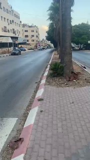 חלק מהסתערות כוחות הכיבוש על מחנה אל-עין, ממערב לשכם