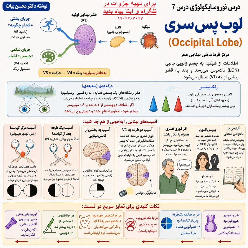 مقاله، پایان نامه، رساله، کتاب، استخدامی.مشاوره کنکوری: 🧠 نوروسایکولوژی تخصصی روان‌شناسی ⚡️ 🎓 ویژه داوطلبان کنکور روانشناسی ━━━━━━━━━━━━━━━━━━━━ 🔱 فصل 6: لوب اهیانه ای بخش1 ━━━