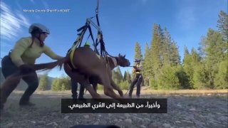 "בלי בגדים" היא מסעדה המאפשרת ללקוחותיה לאכול בעירום