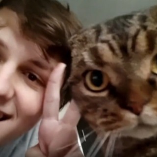 Telegram profile photo for Колючая хатка / Както