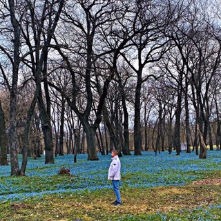 Разгоняю мысли
