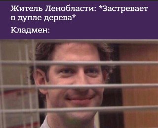 В Ленобласти спасли мужика, который застрял в дупле клёна и провёл там больше суток.Как рассказали в пресс-службе местного комитета правопорядка и безопасности, это произошло в Луге. Мужик зачем-то полез в дупло клёна глубиной около двух метров и не смог в