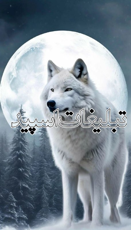 گروه دخترونه دوستیابی مشهد: ❶﹚ نام : ⎯꯭᪵̽𝆺꯭𝅥𝐖𝐈𝐋𝐃𓆩᪵🜲꯭𓆪̥𝐖𝐎𝐋𝐅⎯꯭꥓᪵ͯ⟶❷﹚ نو؏ تبلیغات : #telegram❸﹚ توضیحات :𝑊𝐸𝐿𝐶𝑂𝑀𝐸 𝑇𝑂┈┈∘┈˃༒˂┈∘┈┈#𝑨𝑩𝑹𝑮𝑷 𝐖𝐈𝐋𝐄𝐃𝐖𝐎𝐋𝐅 sɨռᴄɛ"