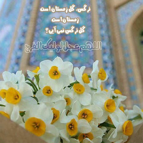 مثبت سلامتی (کانال مردمی انجمن علمی طب سنتی ایران): به امید رویش زودتر نرگس در زمستان سرد این دنیا 🤲پروردگارا الحمدللّه برای این ماه و این لحظهها