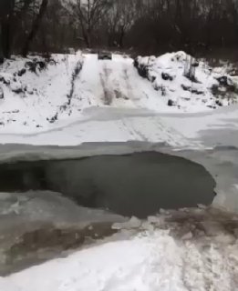 «Самое дорогое на земле - это глупость, потому что за неё дороже всего приходитс