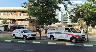 אדר גיציס