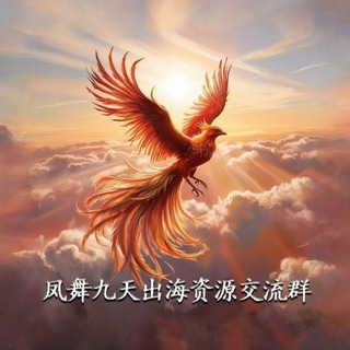 Telegram profile photo for 凤舞九天出海资源交流群