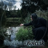 Кошка./домик Ангелины #rolevik 👾