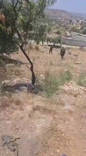 דחוף: עימותים אלימים פרצו כאשר תושבים התעמתו עם צבא הכיבוש ומתנחלים בכפר אום צפא, צפונית מערבית לרמאללה.