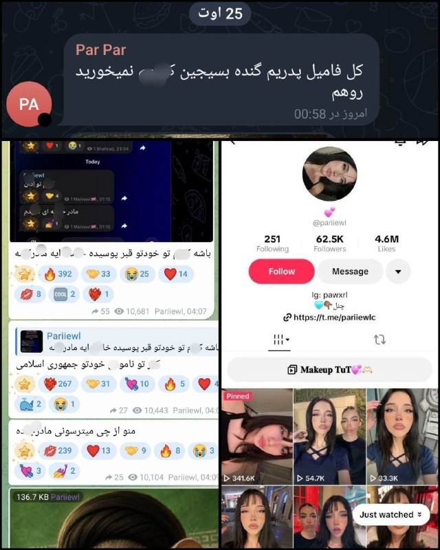 کانال خبری تحلیلی فتن: 🔴یک تیک تاکر دختر به نام پرستش بابایی که ادعا می‌کند از اقوام سردار بابایی از فرماندهان بسیج است، روزانه فحش های بسیار ر