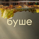 буше