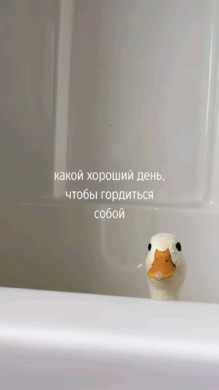 Забирайте послание на день если отправишь своей любимке Я В ДОМИКЕ Please open Telegram to view this post VIEW IN TELEGRAM - изображение 2 - telegram, view, забирайте