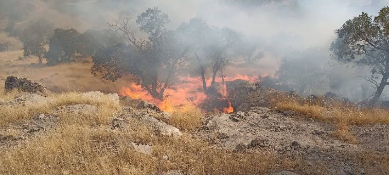 کلاغ اورامانات: 🔥 آتش به جان کوه‌های مرخیل افتاد؛ حریق به بورول و سیمان رسید🔺 آتش‌سوزی گسترده در ارتفاعات و مراتع کوه‌های مرخیل در مسیر 