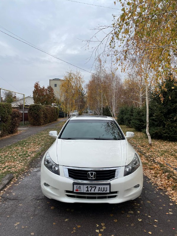 Honda Accord VIII 2009