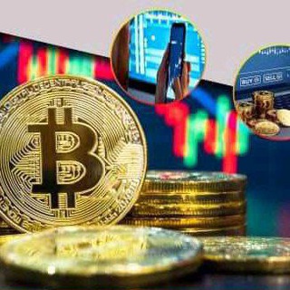 Cryptomonnaies N°1