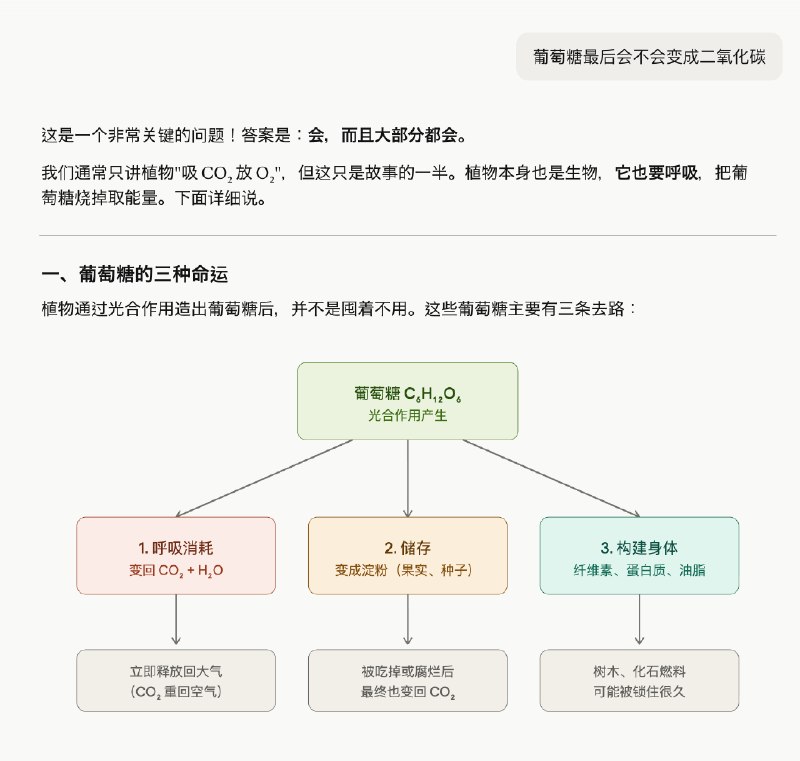 Claude 是真的好用，这也是官方敢随便封号的原因，有底气，你不用，有的是人用