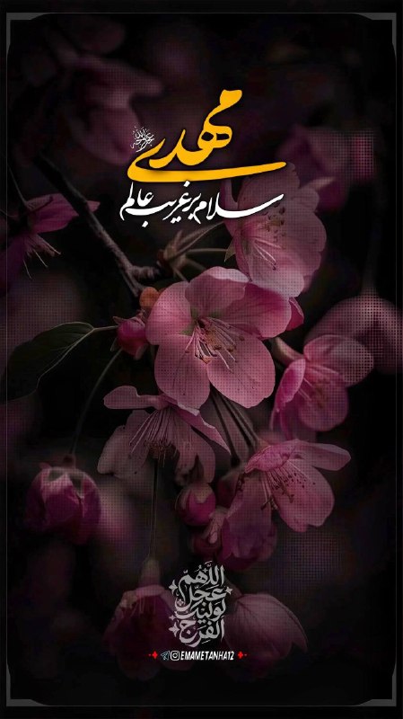Shieclip: ┈┅ ❁ـ﷽ـ❁ ┅┈🏴 #السلام_علیک_یا_اباصالحالمهدی🌾 هر روزمان را با سلام بر شما آغاز میکنیم!محبوب قلبـــم، سَــلام#لبیک_یا_حسی